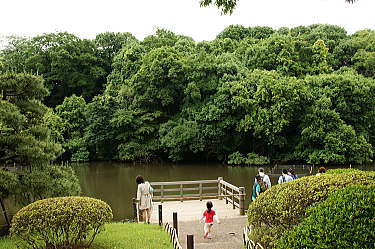 御苑内 御釣台