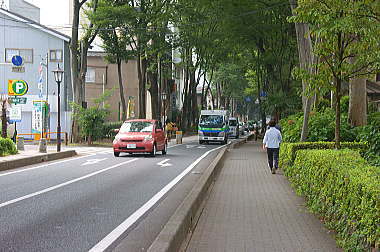 後ろも参道です!