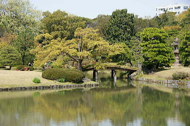 田鶴橋