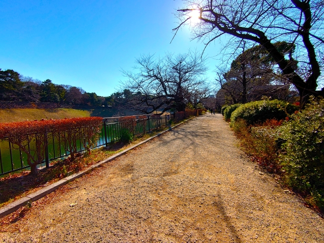 千鳥ヶ淵公園を歩く