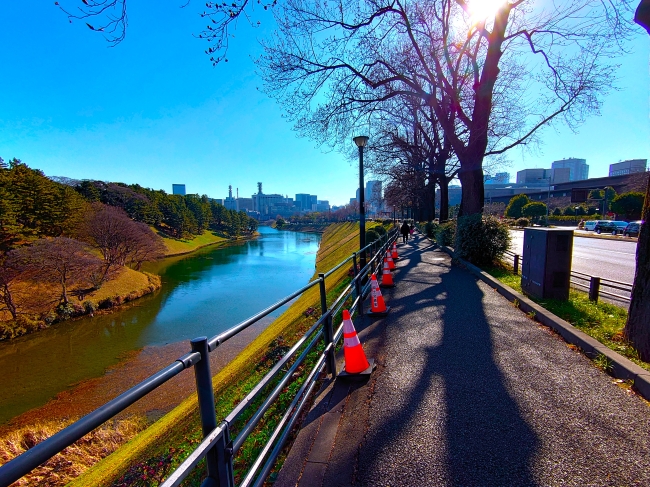 桜田濠を眺めながら下る