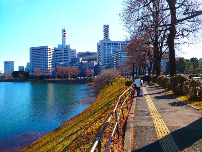 正面には官庁街が