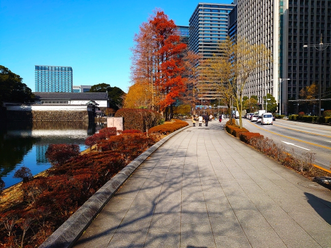 前方に大手門が見えて来た