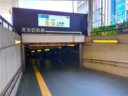文化の杜路へ
