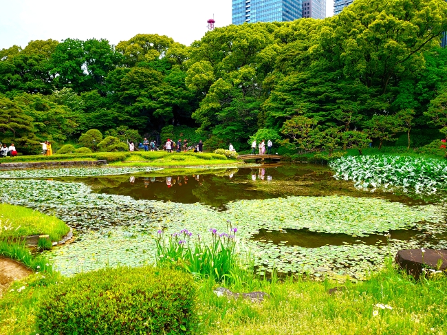 二の丸庭園