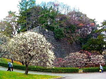 平成18年2月撮影