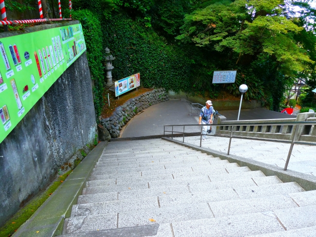 復路は歩いて戻る